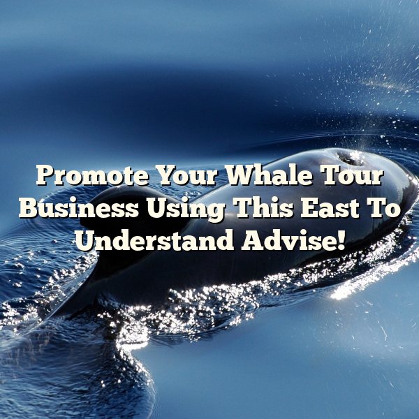 Promote Your Whale Tour Business Using This East To Understand Advise!