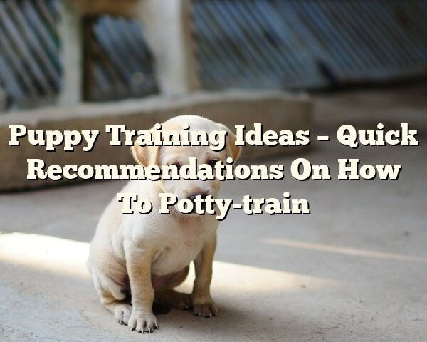 Puppy Training Ideas – Quick Recommendations On How To Potty-train