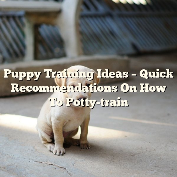 Puppy Training Ideas – Quick Recommendations On How To Potty-train