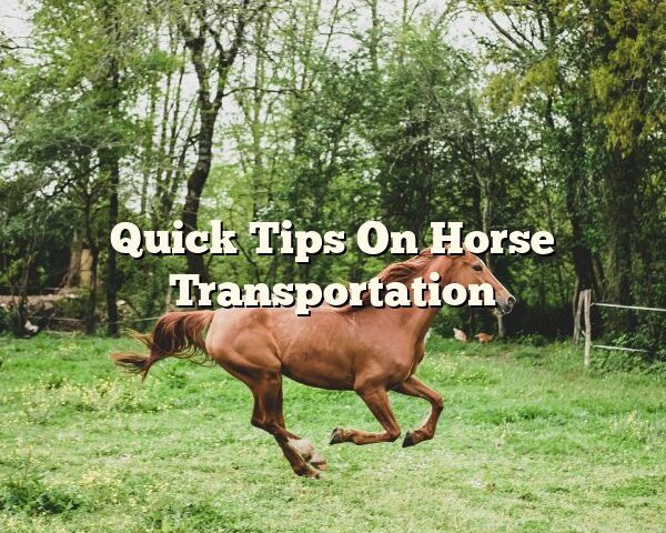 Quick Tips On Horse Transportation