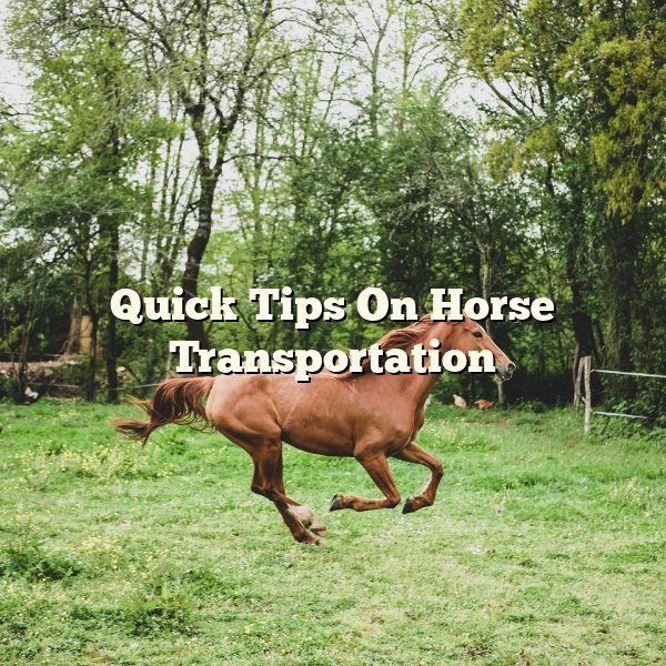 Quick Tips On Horse Transportation