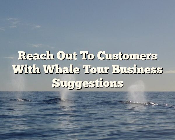 Reach Out To Customers With Whale Tour Business Suggestions