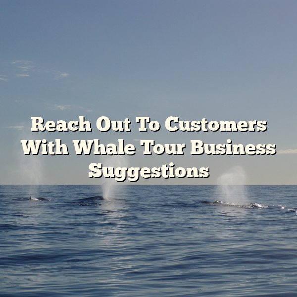 Reach Out To Customers With Whale Tour Business Suggestions