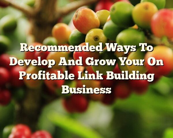 Recommended Ways To Develop And Grow Your On Profitable Link Building Business