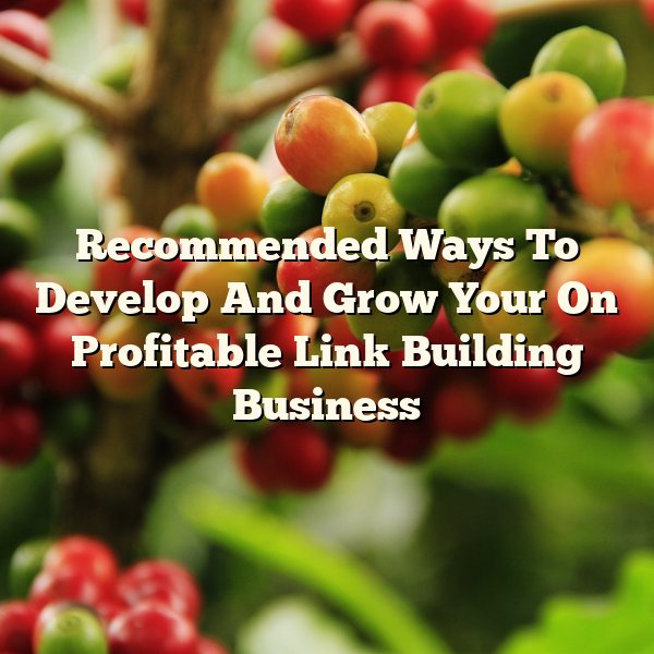 Recommended Ways To Develop And Grow Your On Profitable Link Building Business