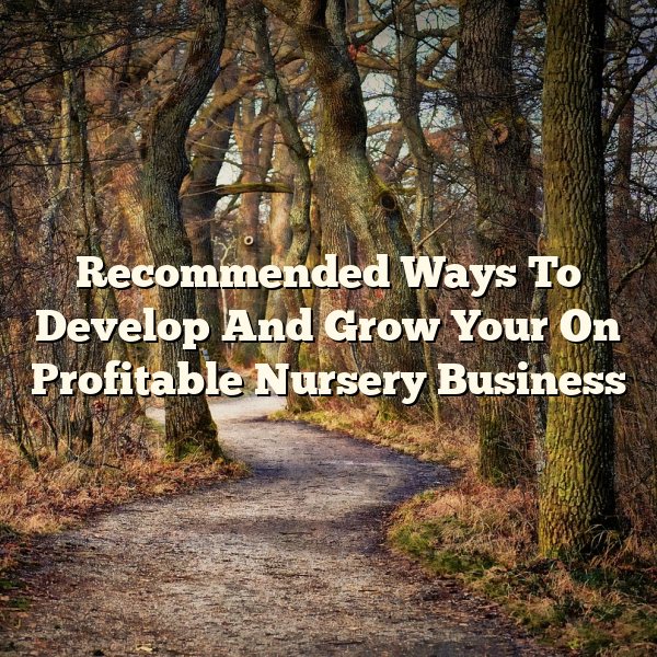 Recommended Ways To Develop And Grow Your On Profitable Nursery Business