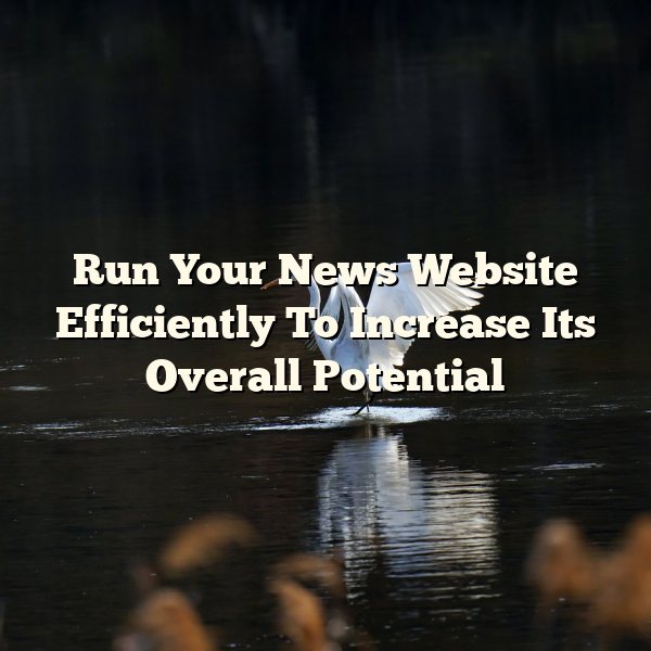 Run Your News Website Efficiently To Increase Its Overall Potential