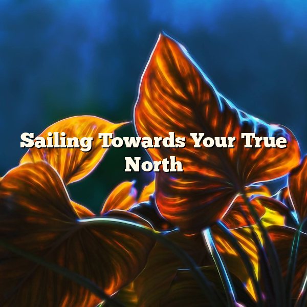 Sailing Towards Your True North