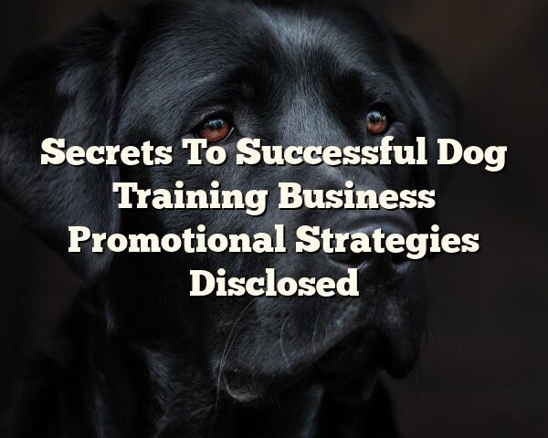 Secrets To Successful Dog Training Business Promotional Strategies Disclosed