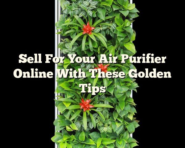 Sell For Your Air Purifier Online With These Golden Tips