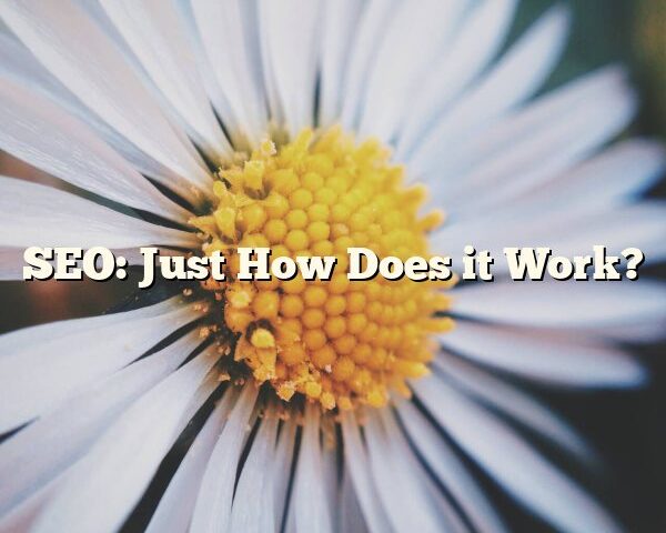 SEO: Just How Does it Work?