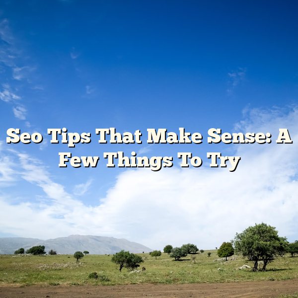 Seo Tips That Make Sense: A Few Things To Try