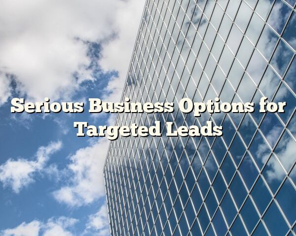 Serious Business Options for Targeted Leads