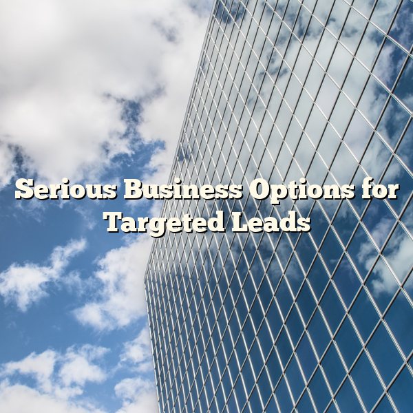 Serious Business Options for Targeted Leads