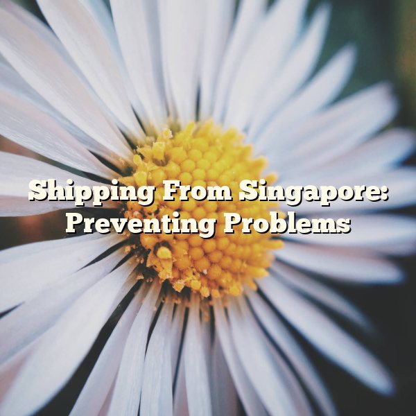 Shipping From Singapore: Preventing Problems