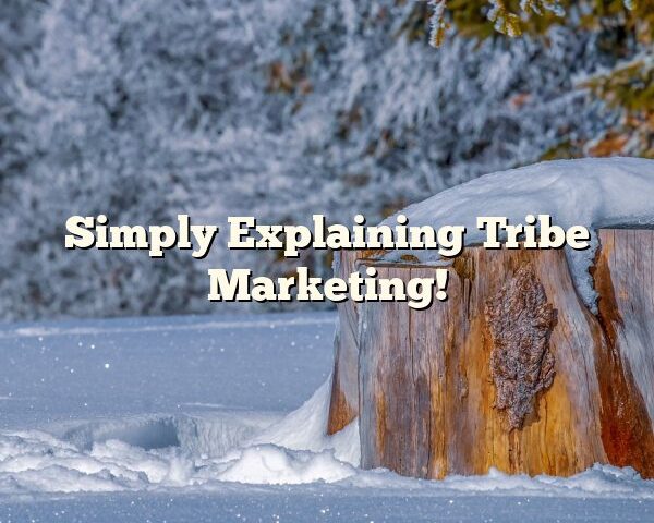 Simply Explaining Tribe Marketing!