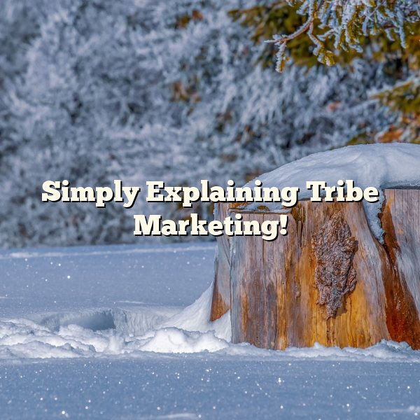 Simply Explaining Tribe Marketing!