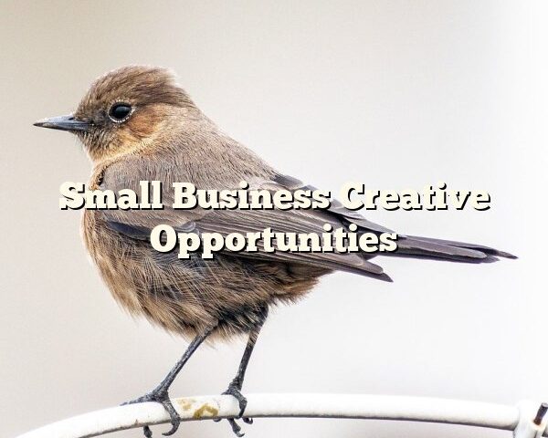 Small Business Creative Opportunities