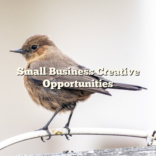 Small Business Creative Opportunities