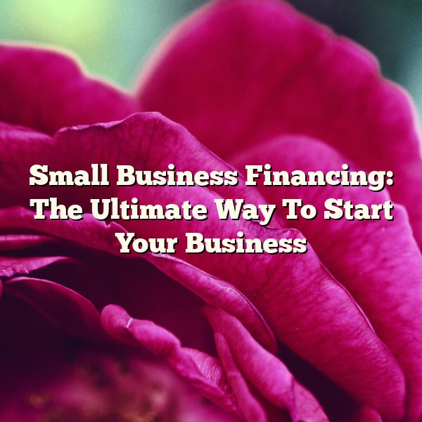 Small Business Financing: The Ultimate Way To Start Your Business