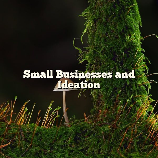 Small Businesses and Ideation