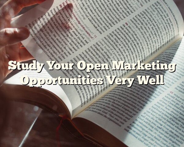 Study Your Open Marketing Opportunities Very Well