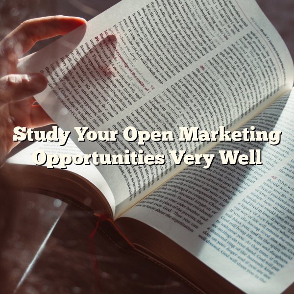 Study Your Open Marketing Opportunities Very Well