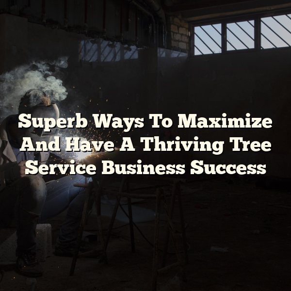 Superb Ways To Maximize And Have A Thriving Tree Service Business Success