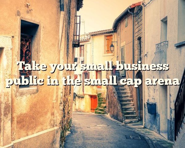 Take your small business public in the small cap arena