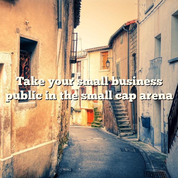 Take your small business public in the small cap arena