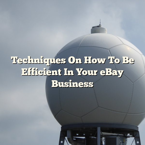 Techniques On How To Be Efficient In Your eBay Business