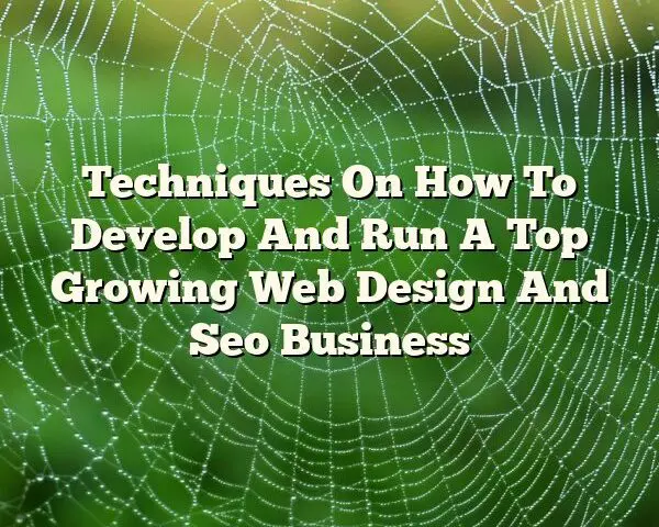 Techniques On How To Develop And Run A Top Growing Web Design And Seo Business