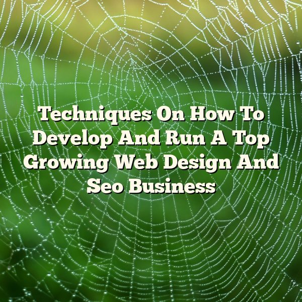 Techniques On How To Develop And Run A Top Growing Web Design And Seo Business