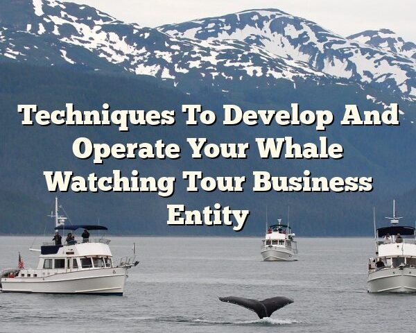 Techniques To Develop And Operate Your Whale Watching Tour Business Entity