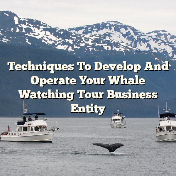 Techniques To Develop And Operate Your Whale Watching Tour Business Entity