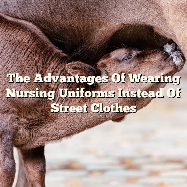 The Advantages Of Wearing Nursing Uniforms Instead Of Street Clothes