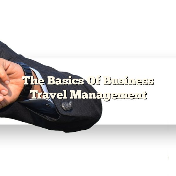 The Basics Of Business Travel Management