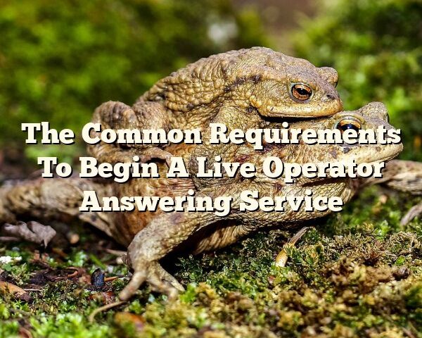 The Common Requirements To Begin A Live Operator Answering Service