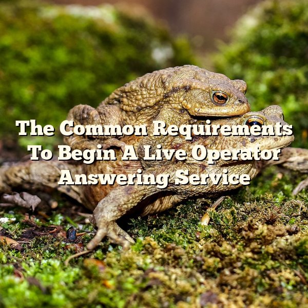 The Common Requirements To Begin A Live Operator Answering Service