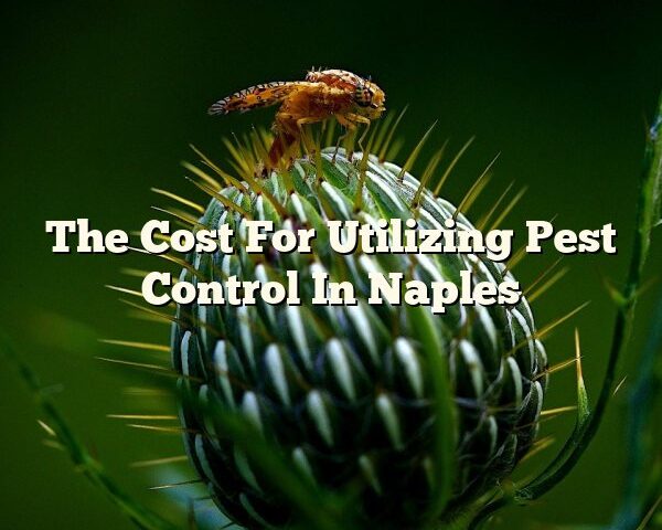 The Cost For Utilizing Pest Control In Naples