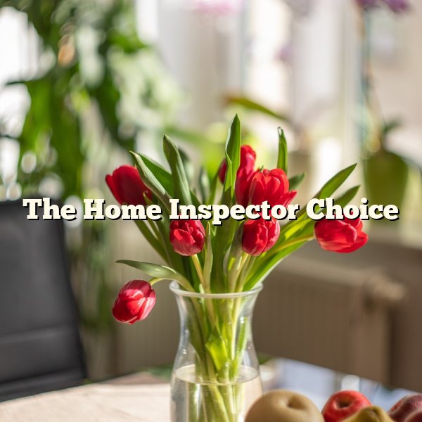 The Home Inspector Choice