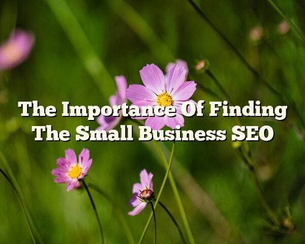 The Importance Of Finding The Small Business SEO