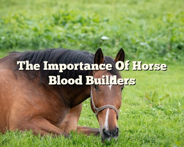 The Importance Of Horse Blood Builders