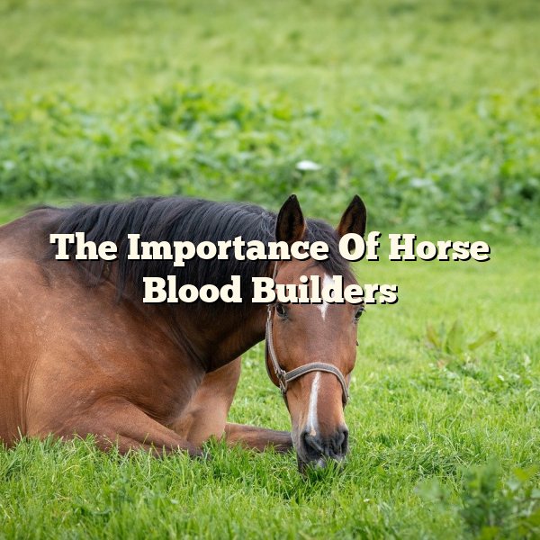 The Importance Of Horse Blood Builders