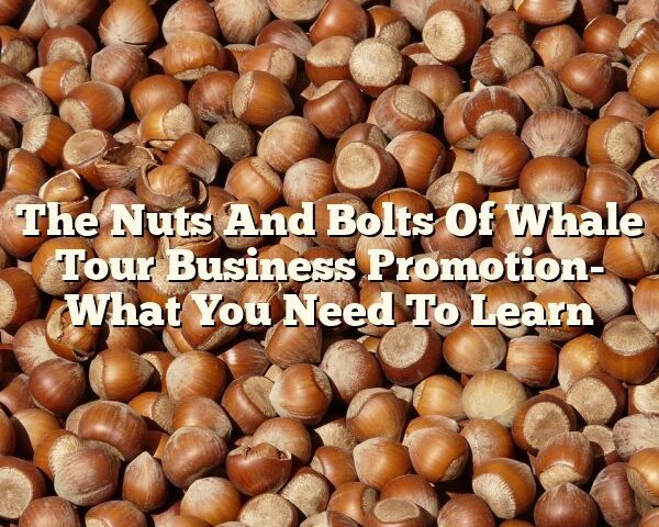 The Nuts And Bolts Of Whale Tour Business Promotion- What You Need To Learn