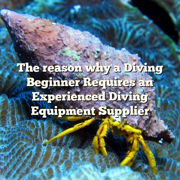 The reason why a Diving Beginner Requires an Experienced Diving Equipment Supplier