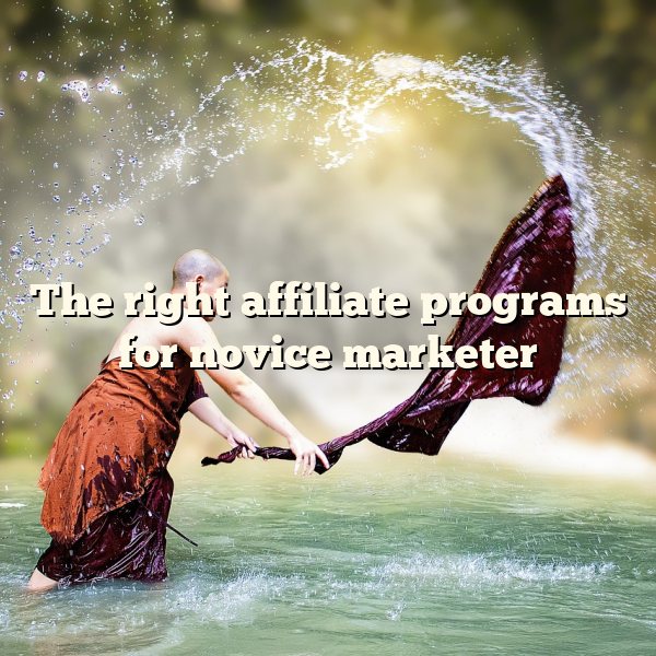 The right affiliate programs for novice marketer