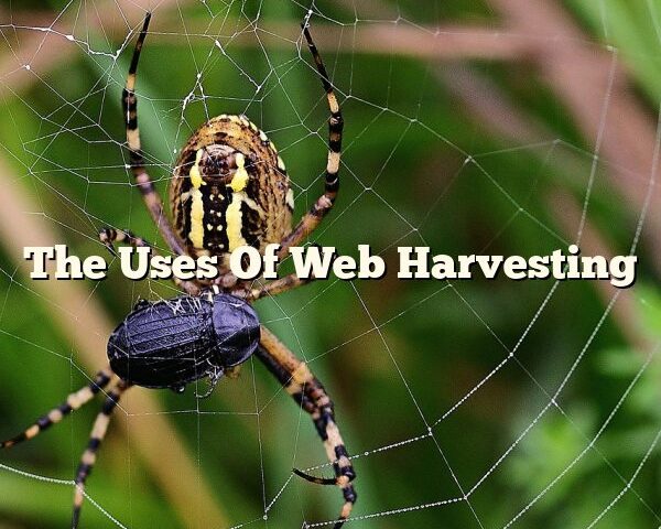 The Uses Of Web Harvesting