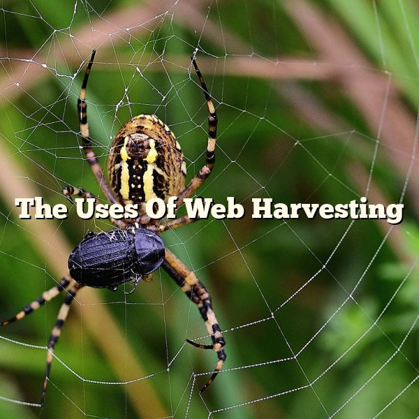 The Uses Of Web Harvesting