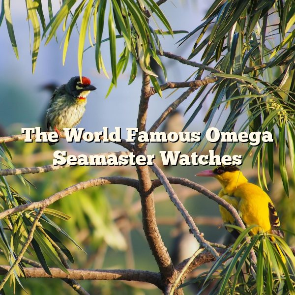 The World Famous Omega Seamaster Watches